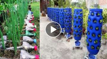90 Beautiful Garden ideas Using Old Plastic Bottles - DIY Garden Ideas
