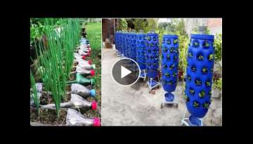 90 Beautiful Garden ideas Using Old Plastic Bottles - DIY Garden Ideas
