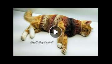 Easy Crochet Cat Sweater Tutorial #426